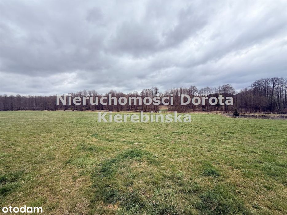 Działka z dosępem do rzeki- Rzeczyca - Widok 5