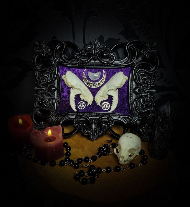 Rama gotycka czaszka norki