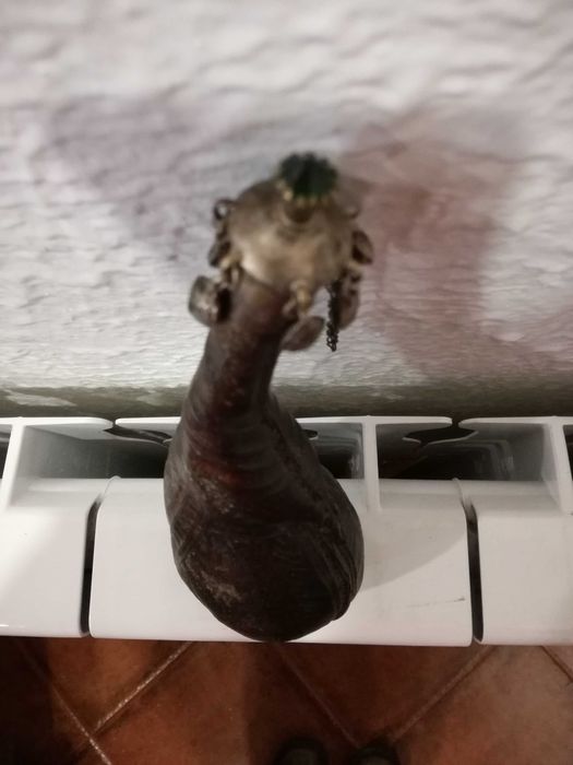 Polvorinho de Couro em Forma de Pêra Sec. XIX (Norte de África)