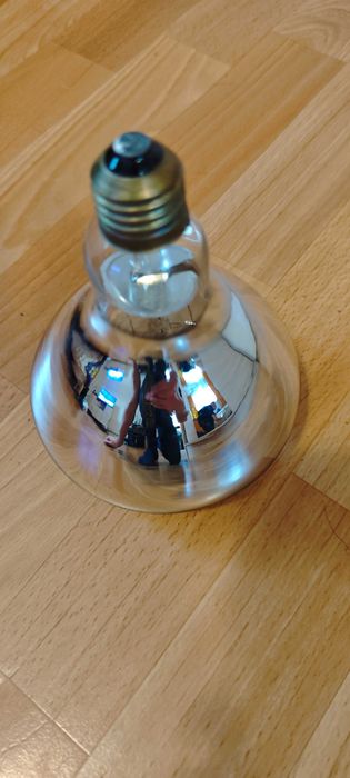 Żarówka kwoka 100w