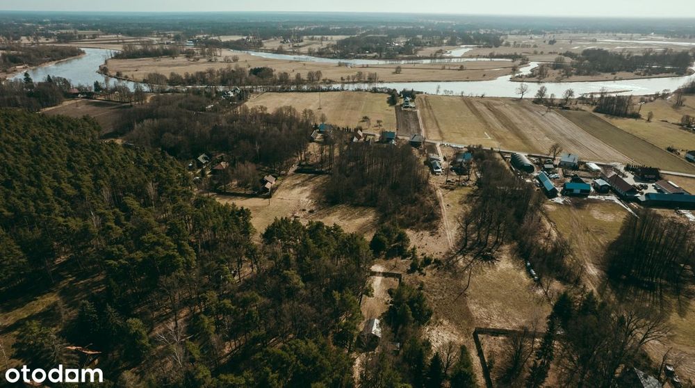 Wyjątkowa działka 8900 m² z własnym lasem w Bojanach, gmina Brok - Więcej