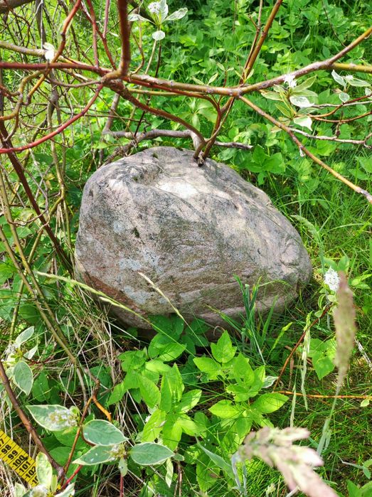 Kamienie dekoracyjne z ogrodu