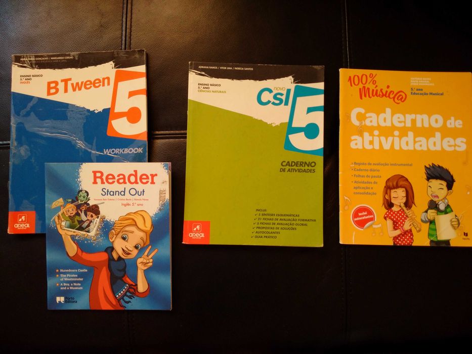 Livros de fichas do 5 ao 9 ano