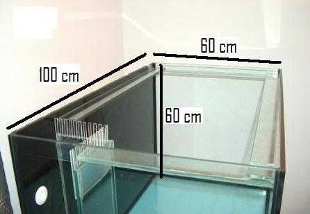 Aquário 100x60x60 + Móvel Feito á medida + Sump