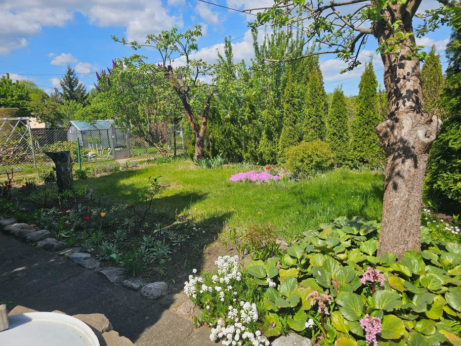 Działka ROD Kapuściska przy ul. Chemicznej