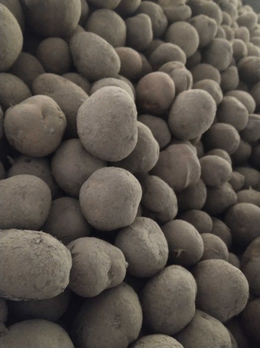 Ziemniaki  paszowe z dostawa