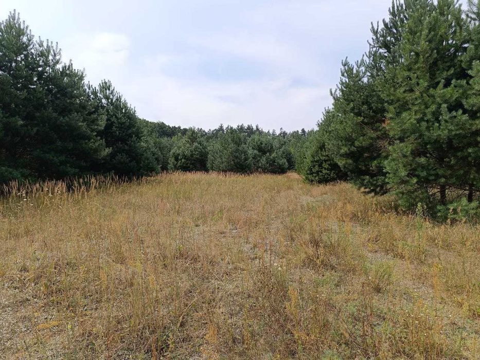 Продаж земельної ділянки під забудову