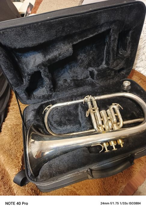 Fluegelhorn Venus