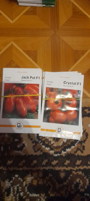 Семена овощей голандское насіння голандське якісне краща ціна