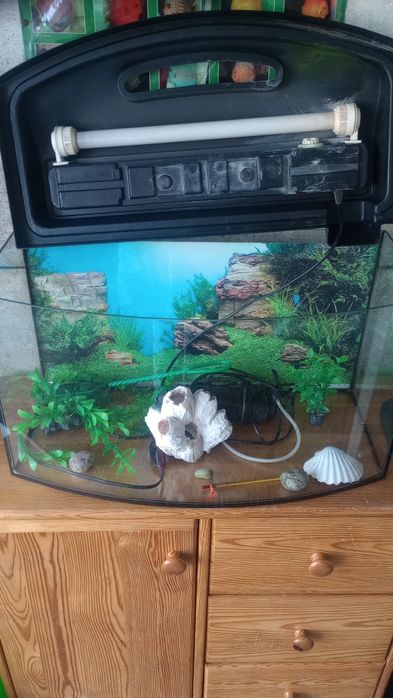 Sprzedam akwarium 60l