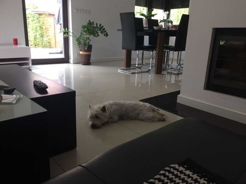 Do wynajęcia dom w Mieczewo