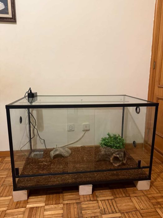 Vendo 2 terrarios com tudo incluido