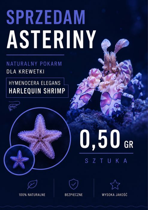 Asteriny | Akwarium morskie