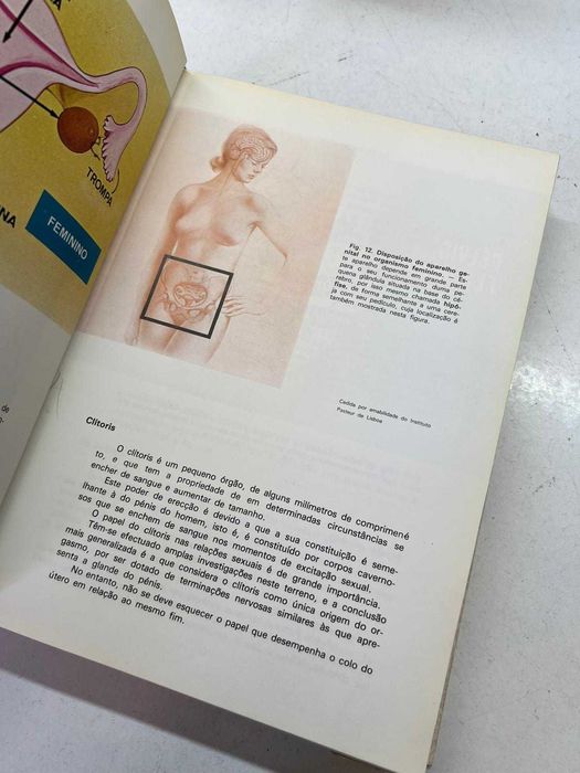 4 Volumes da Colecção "Princípios da Vida"