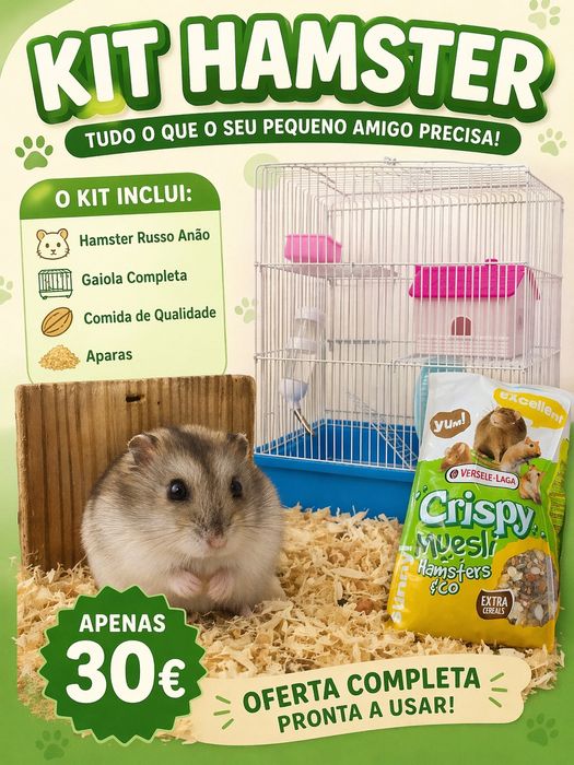 Kit hamsters completo