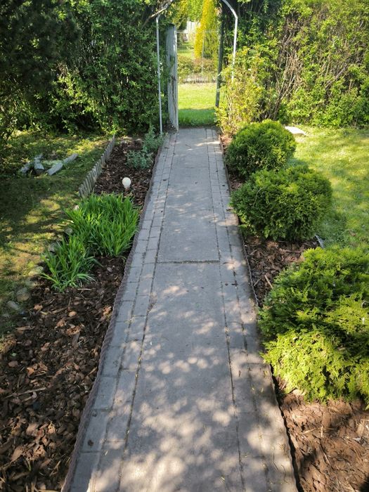 Sprzedam ogródek działkowy ROD "NASZA PALMA" w Zabrzu 660m2