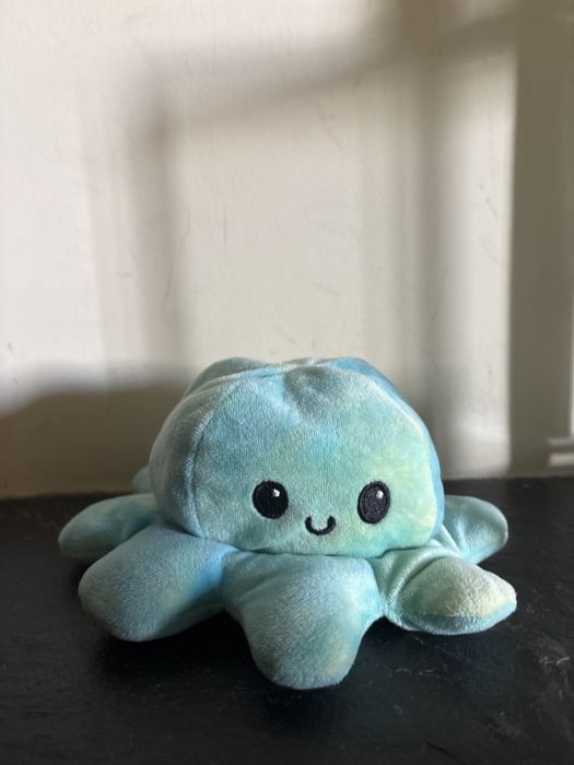 Polvo de brinquedo