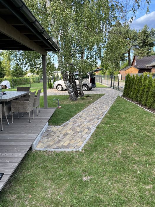 Okuninka Jezioro Białe, blisko plaży