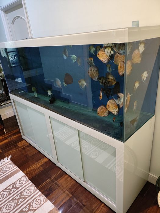 Aquário 700 litros