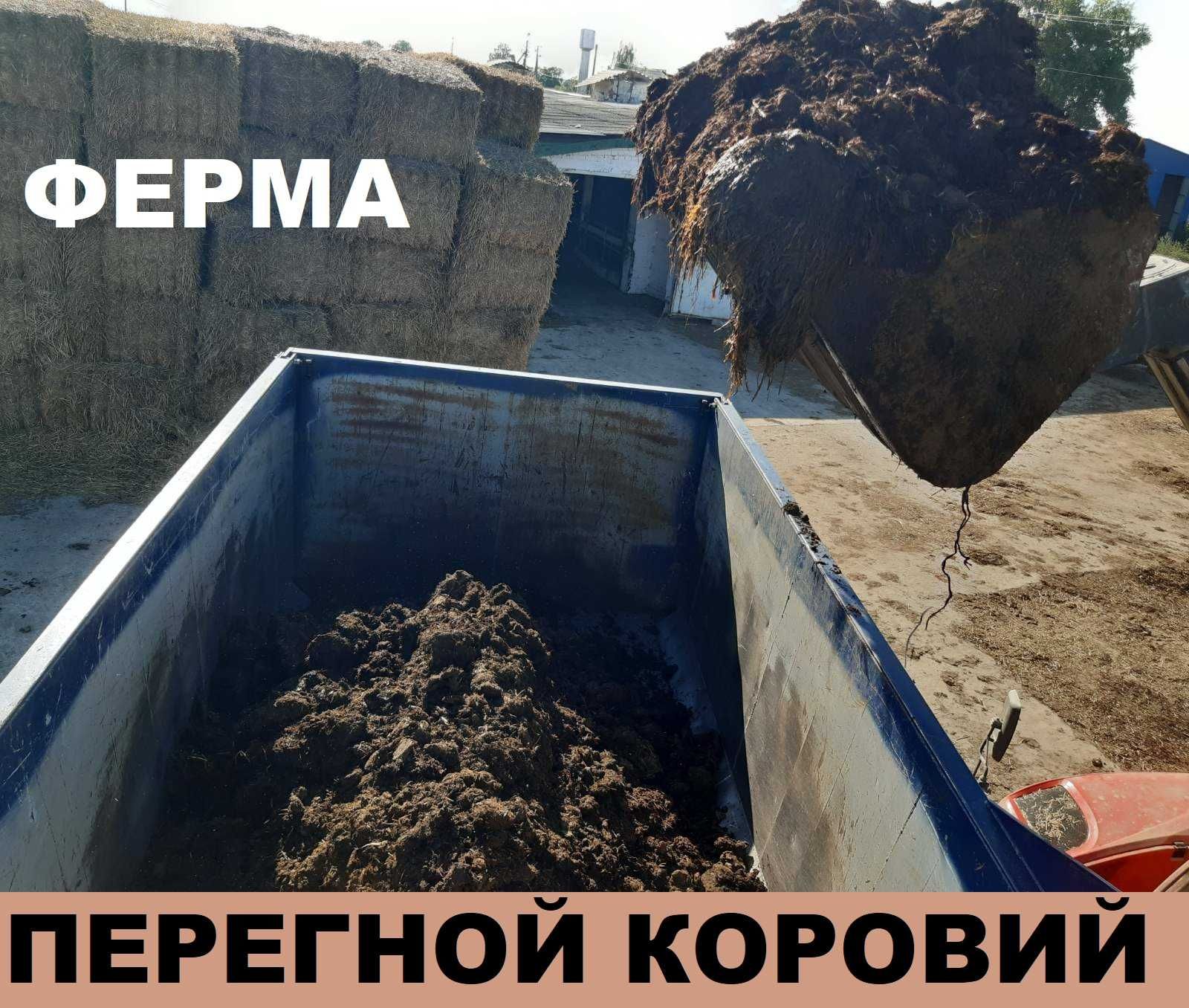 ЧЕРНОЗЕМ. ТОРФ. ПЕРЕГНОЙ. Компост. Доставка 5-10-15-30т или в мешках ...