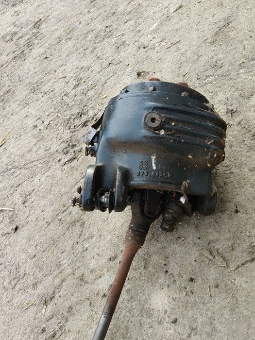 Zwolnice w idealnym stanie