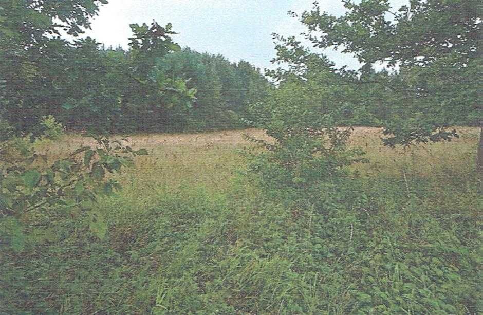 syndyk ogłasza przetarg - nieruchomość Ożarowice