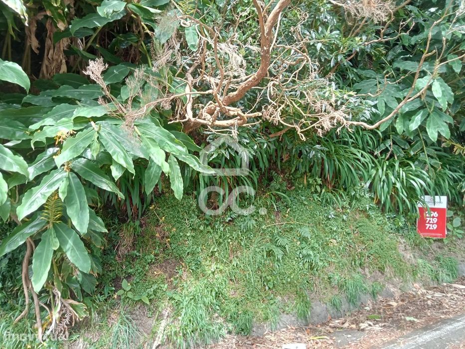 Terreno com 2.090,00 m2 - Santo António Nordestinho - Nordeste