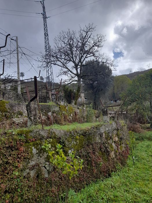 Vendono lindas vista 20000 euros