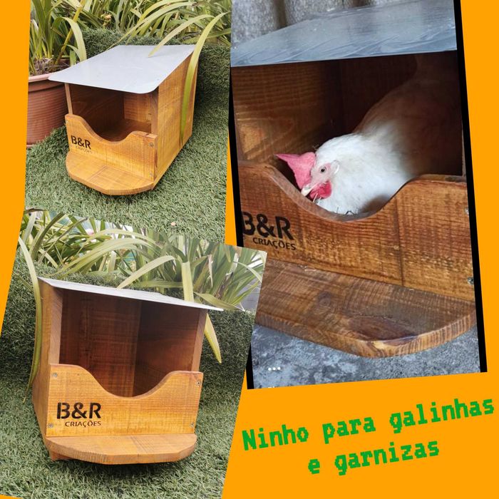 Ninhos para galinhas