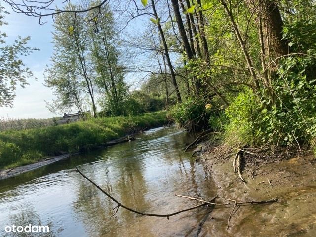 Z linią brzegową rzeki Jeziorki i lasem, 25 min od Okęcia - Widok 5