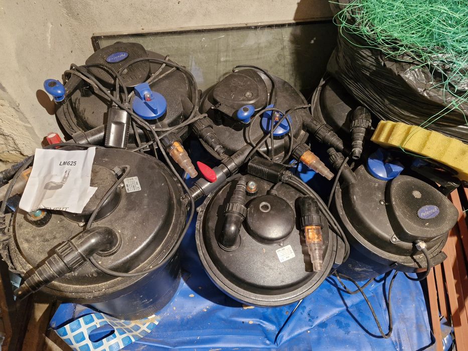 Готовий бізнес 《Ракова ферма》.  Ферма по вирощуванню раків та креветок