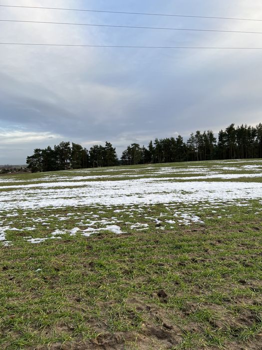Sprzedm działkę w miejscowości Rajkowy przy lesie - Więcej