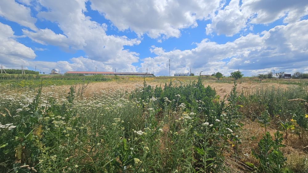 Продам будинок Соколівське