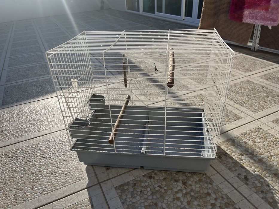 Diversos artigos ainda disponiveis