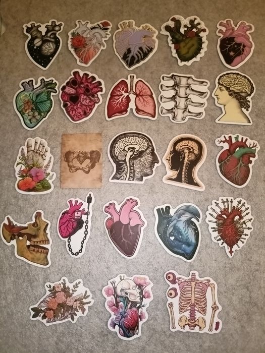 Naklejki anatomia, ciało człowieka - cena za całość