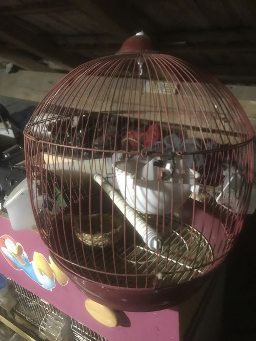 Gaiola para passaros