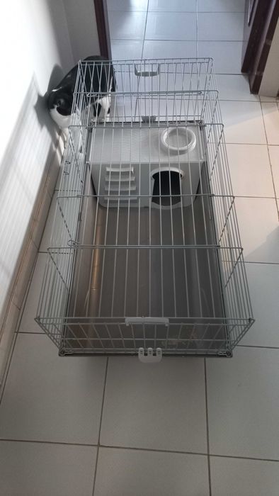 Gaiola roedores grande