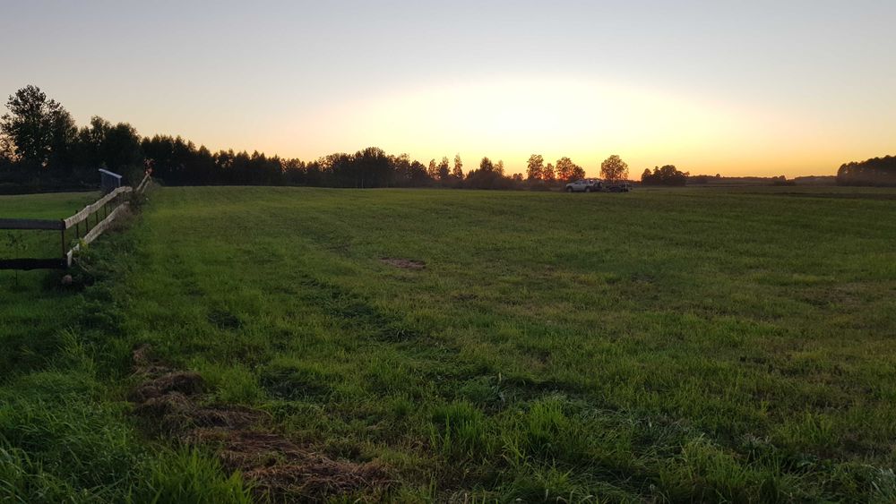 Działka 5500 m² z linią brzegową, prąd i woda. Możliwość zabudowy. Okazja! - Widok 5