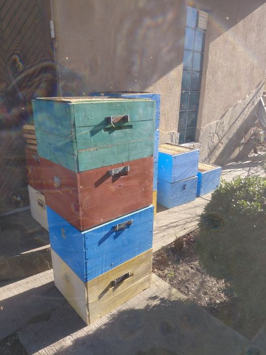 Продам суш ,вулики,бджоли