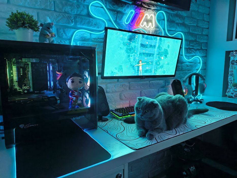 Monitor LG 29" LED