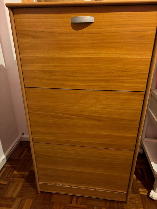 Sapateira castanha usada