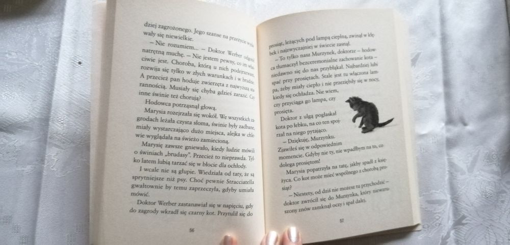 Książka Zaginęły koty, seria Klinika dla zwierząt