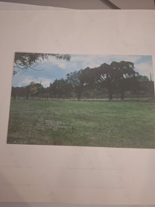 Terreno de Cultura Beira Alta