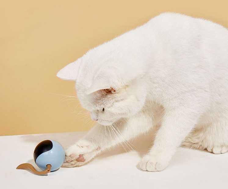 Zabawka dla kota/ psa interaktywna kulka 360