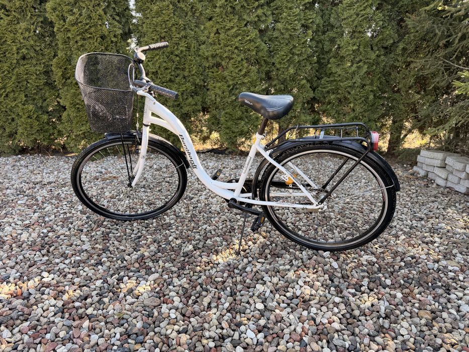 Rower miejski Burghardt