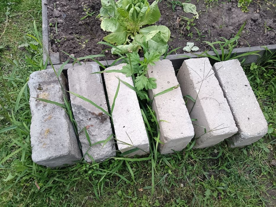Pustaki Mki + Trelinka oddam darmo