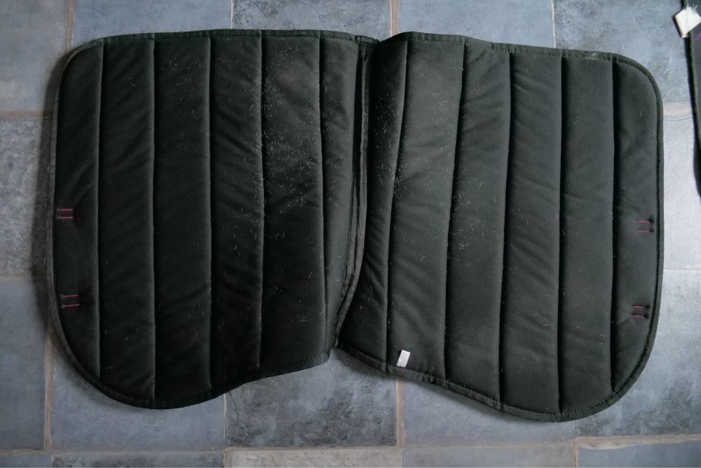 Trzy czapraki wszechstronne