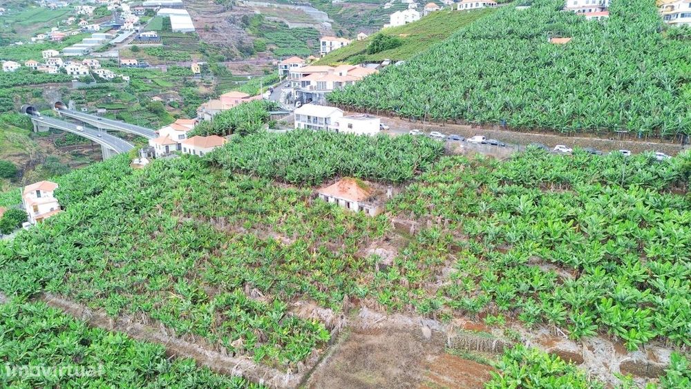 Terreno  com 3341 M2 em Câmara de Lobos