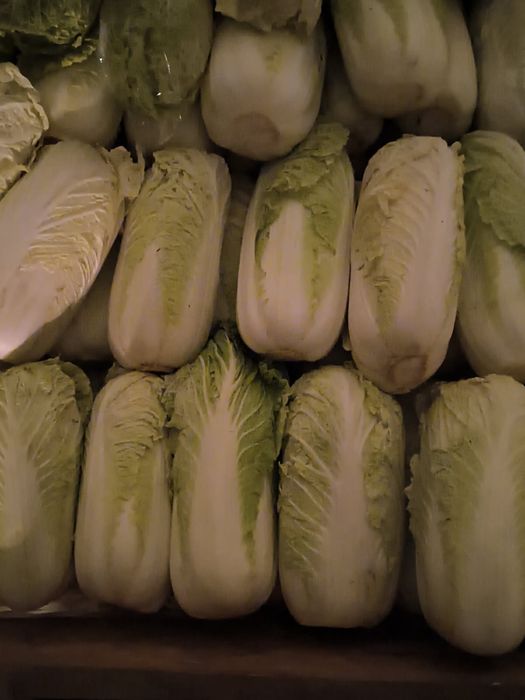 Kapusta pekinska drobna