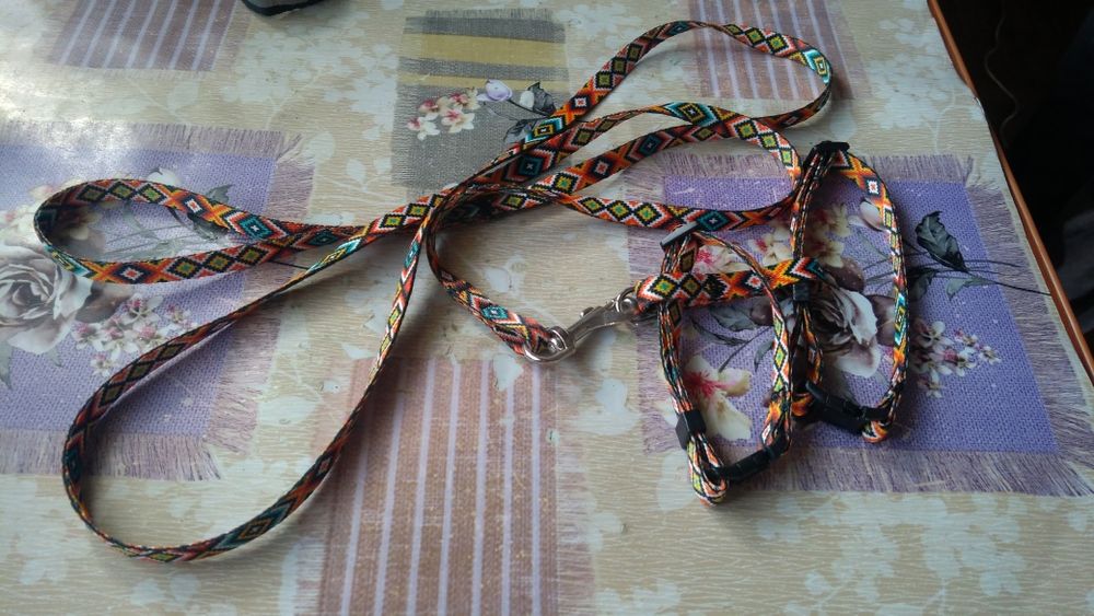 Шлейка для котика